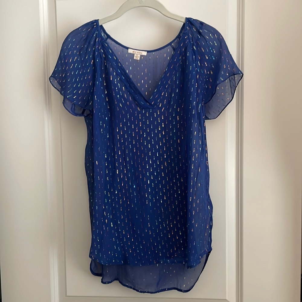 Ella Moss Silk Blue Top